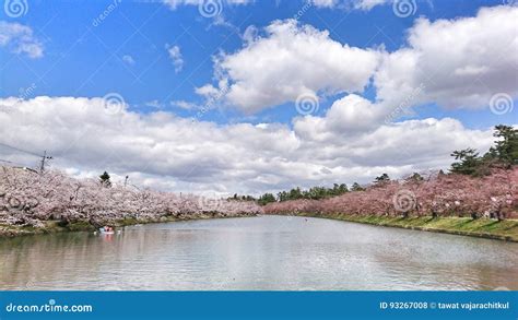 Sakura River Stock Photo Image Of Reservoir Plant Landscape 93267008