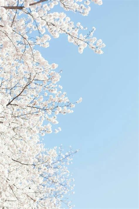 Baby Blue Aesthetic | Wiki | Vexting Amino