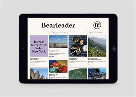 Bearleader — The Studio Creating A Brand Graphic Design Visual