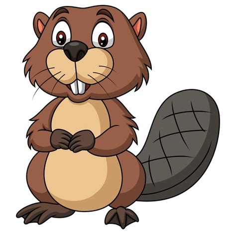 Beaver Cartoon Royalty Free Images Stock Photos Pictures