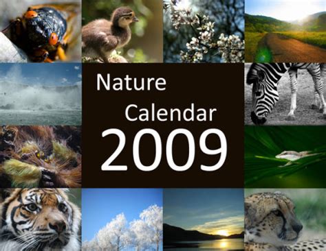 A Nature Calendar For A Good Cause Qrystalname