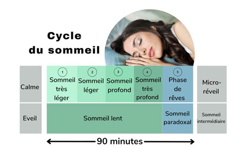 le sommeil et les cycles kezako codifra
