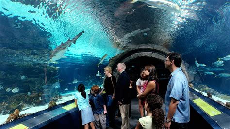 Adventure Aquarium — Visit Philadelphia