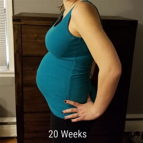 20 Weeks Pregnant With Twins Twiniversity