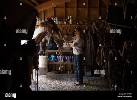 A Guest Cares For Her Horse At Artemis Acres Guest Ranch In Kalispell