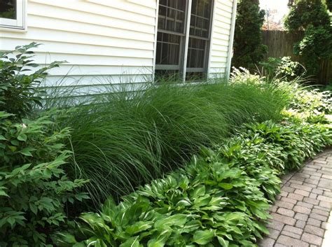 Landscaping With Ornamental Grass Easy Landscaping Large Yard