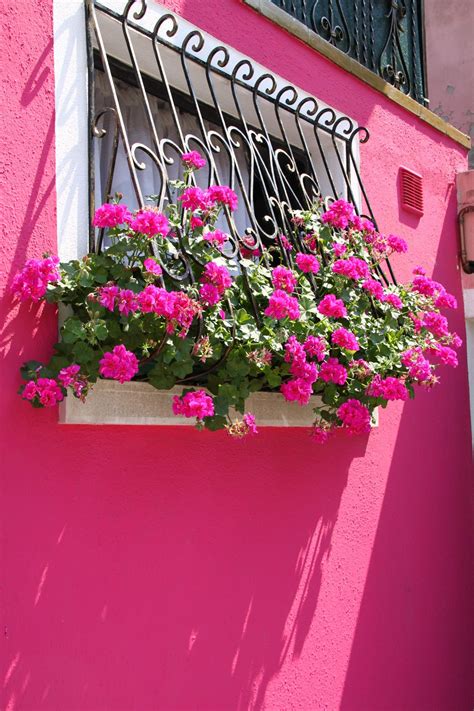 Janela Florida Com Cor E Beleza Natural Balcony Flower Box Window Box