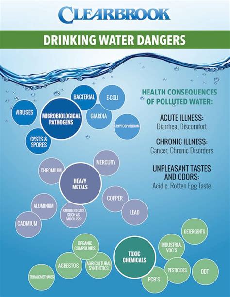 If Not Filtered Properly Water Can Be Contaminated With A Wide Variety