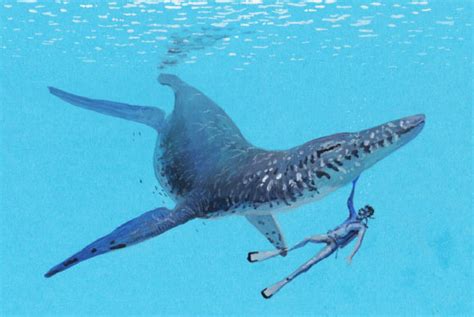 Paleontologists Find 170 Million Year Old Giant Pliosaur Fossil Sci