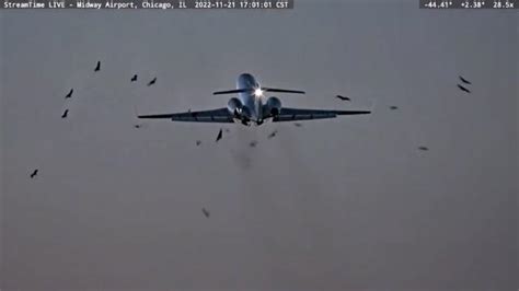 Gemist Video Shows Moment Us Military Plane Collides With Flock Of