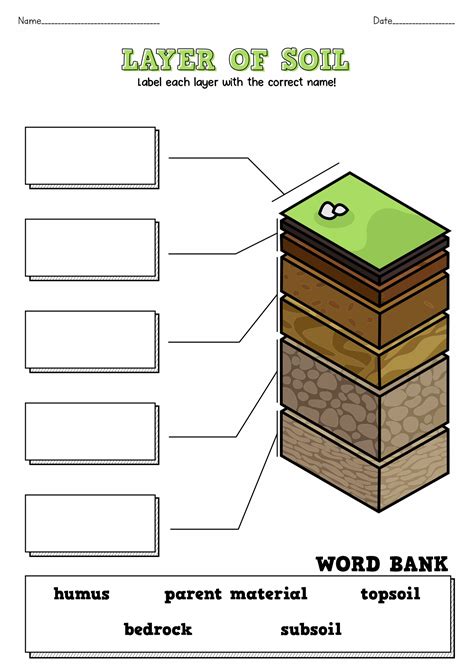 18 Best Images Of Soil Worksheets For 3rd Grade Soil Layers