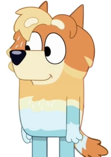 Radley Heeler Fan Casting For Bluey Us Dub Mycast Fan Casting