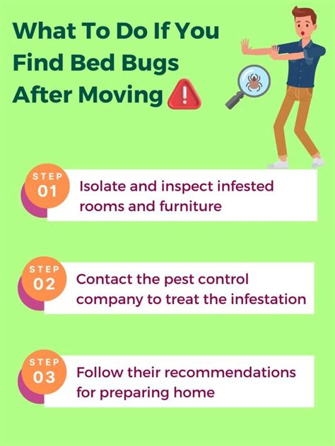 Can Movers Bring Bed Bugs Into Your Home Movers Labs