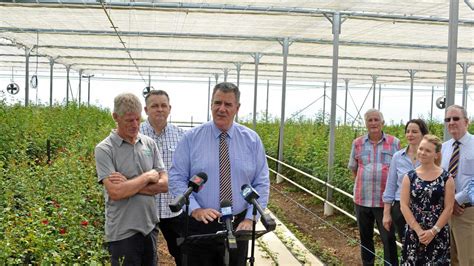 Queensland Biosecurity Strategy Revealed In Lockyer The Courier Mail