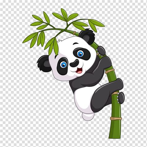 Panda Transparent Background Png Clipart Hiclipart