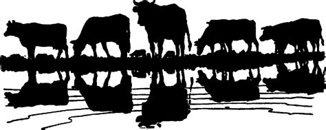 Denada Silhouette Cattle Clipart Black And White