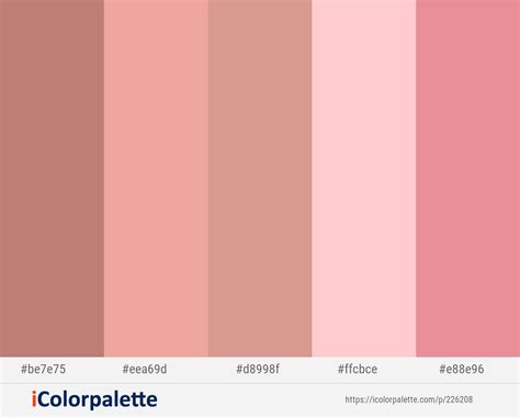 Old Rose Color Palette Coral Colour Palette Pink Color Schemes Brand Color Palette Brand