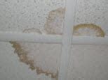Posted on august 17, 2020. Water Damage to Ceilings