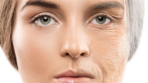 Human Skin Cells Rejuvenated By 30 Years With New Aging Reversal Method