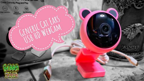 Hd Web Cam Cute Pink And With Cat Ears Youtube