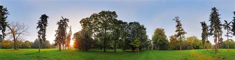360 Degree Panorama Forest In Park Stock Photo Image Of Meadow