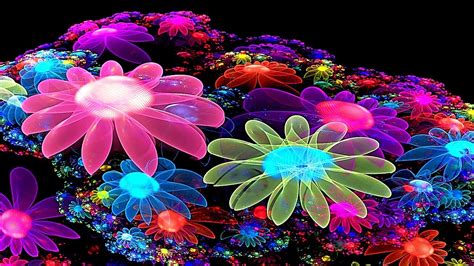 Colorful Flower Wallpaper 3d 2020 Cute Wallpapers