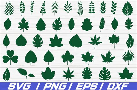 42 Paper Leaves Svg Cut File Leaf Templates Cricut