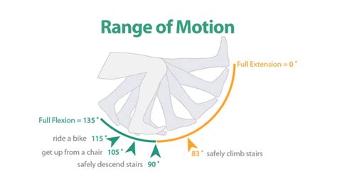 Range of motion of the affected knee also needs to be compared to its partner before one can make a judgement on loss of range of motion. The Fundamental Importance of Knee Range of Motion | X10 ...