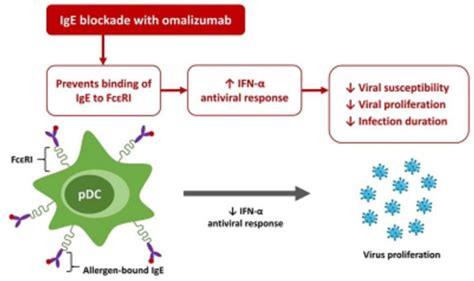 Role Of Ige And Effects Of Ige Blockade With Omalizumab In Antiviral