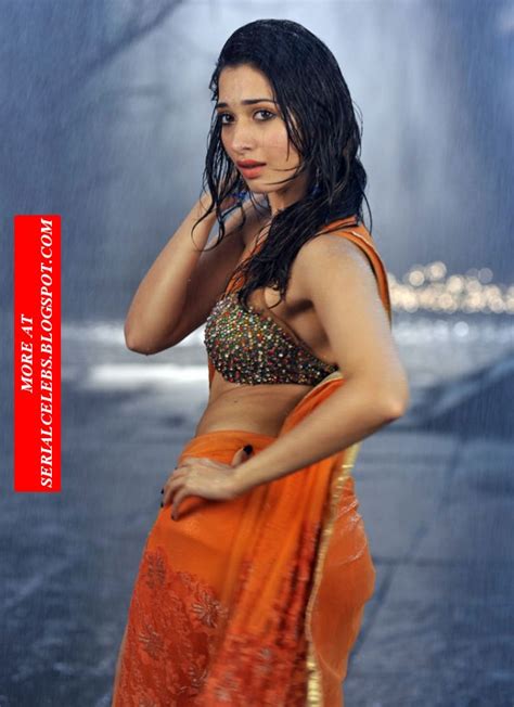 Serial Celebs The Only Blog For Serial Artists Tamanna Hot Navel