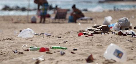 Más Del 80 De Los Residuos Encontrados En Las Playas Bonaerenses Son