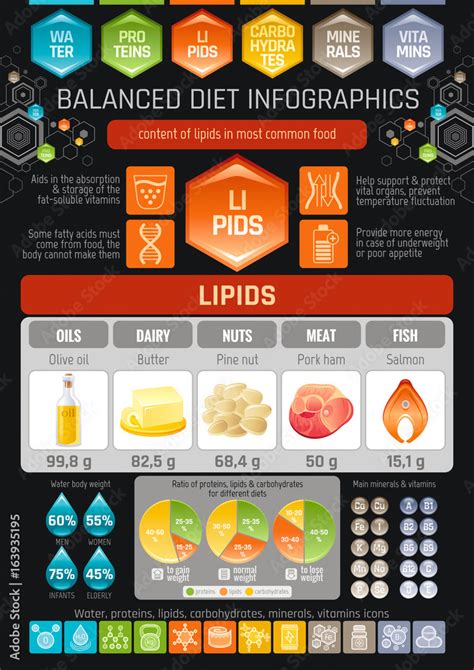 Fat Lipids Diet Infographic Diagram Poster Water Protein Lipid
