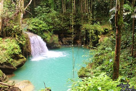 13 Jamaican Waterfalls Rivers You Probably Didnt Know Simply Local