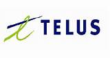 Photos of Telus It Support