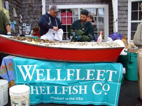 Wellfleet Oyster Festival This Weekend On Cape Cod