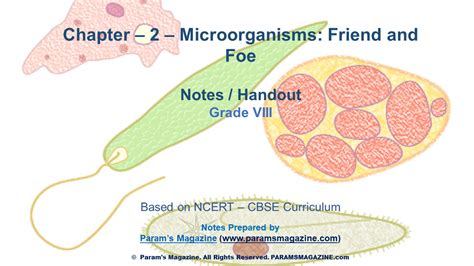 Notes Microorganisms Friend And Foe Chapter 2 Cbse Class 8