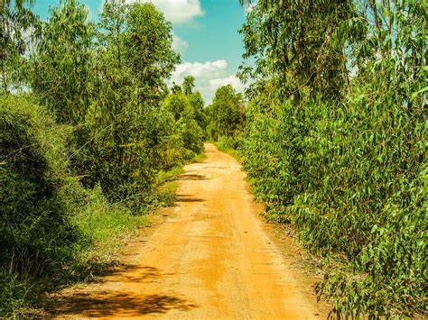 Road In Rural Area Farm Free Stock Photo Public Domain Pictures