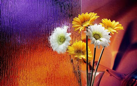Beautiful Glass Wallpapers Top Free Beautiful Glass Backgrounds Wallpaperaccess