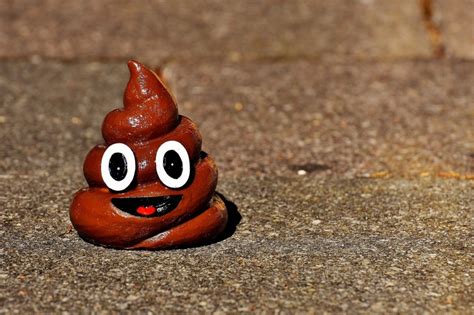 Why Does Poop Smell Bad The Science Behind The Unpleasant Odor Of