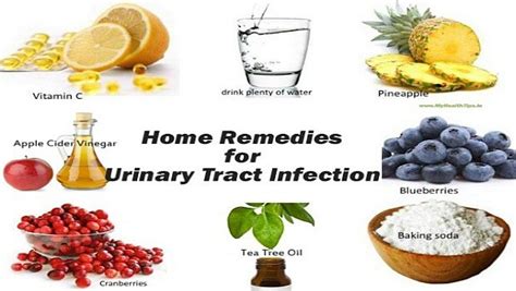 25 Home Remedies For Uti Urinary Tract Infection In Men And Women