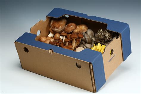 Mix Blend Exotic Mushrooms Bulk Box 6 Lbs Kennett Mushrooms
