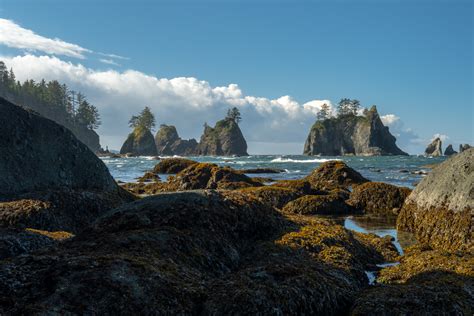 Coastal Hiking Getaways In The Pacific Northwest Moon Travel Guides