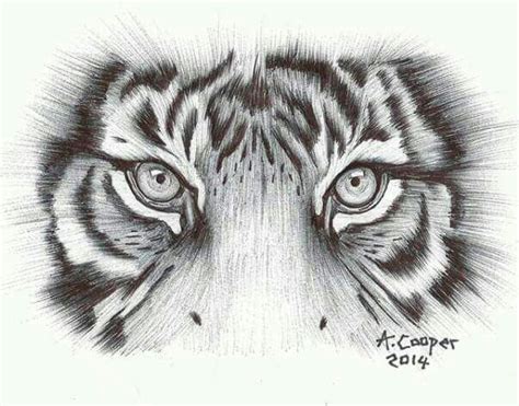 Tiger Eyes Tiger Eyes Tattoo Tiger Tattoo Design Eye Tattoo