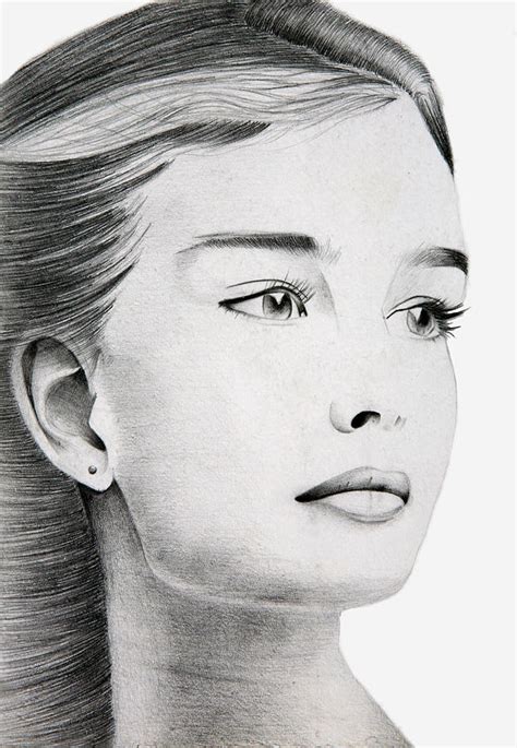 Brooke Shields Drawing By Sandy Angelova