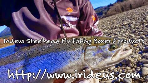 Irideus Fly Fishing Products The Journey Of The Coastal Steelhead And
