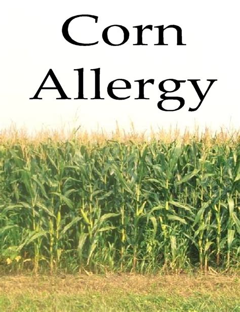 Free Posters And Signs Corn Allergy
