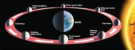 Phases Of The Moon Orbit 1 Experihub Learning