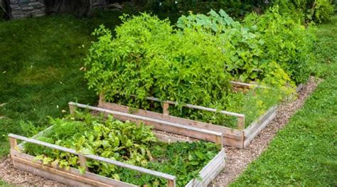 How To Stake A Raised Garden Bed In 11 Steps Simplify Gardening