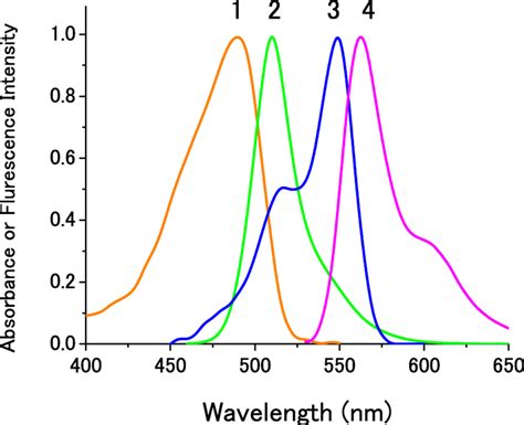 Normalized Absorption And Fluorescence Spectra Of Gfp And Cy3 The