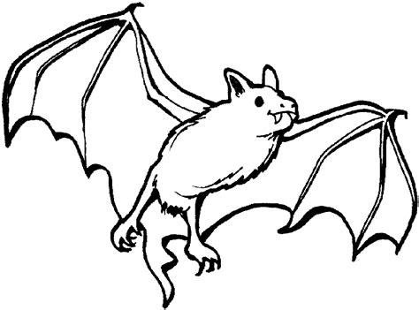Bats Animal Coloring Pages To Printable Coloring Home